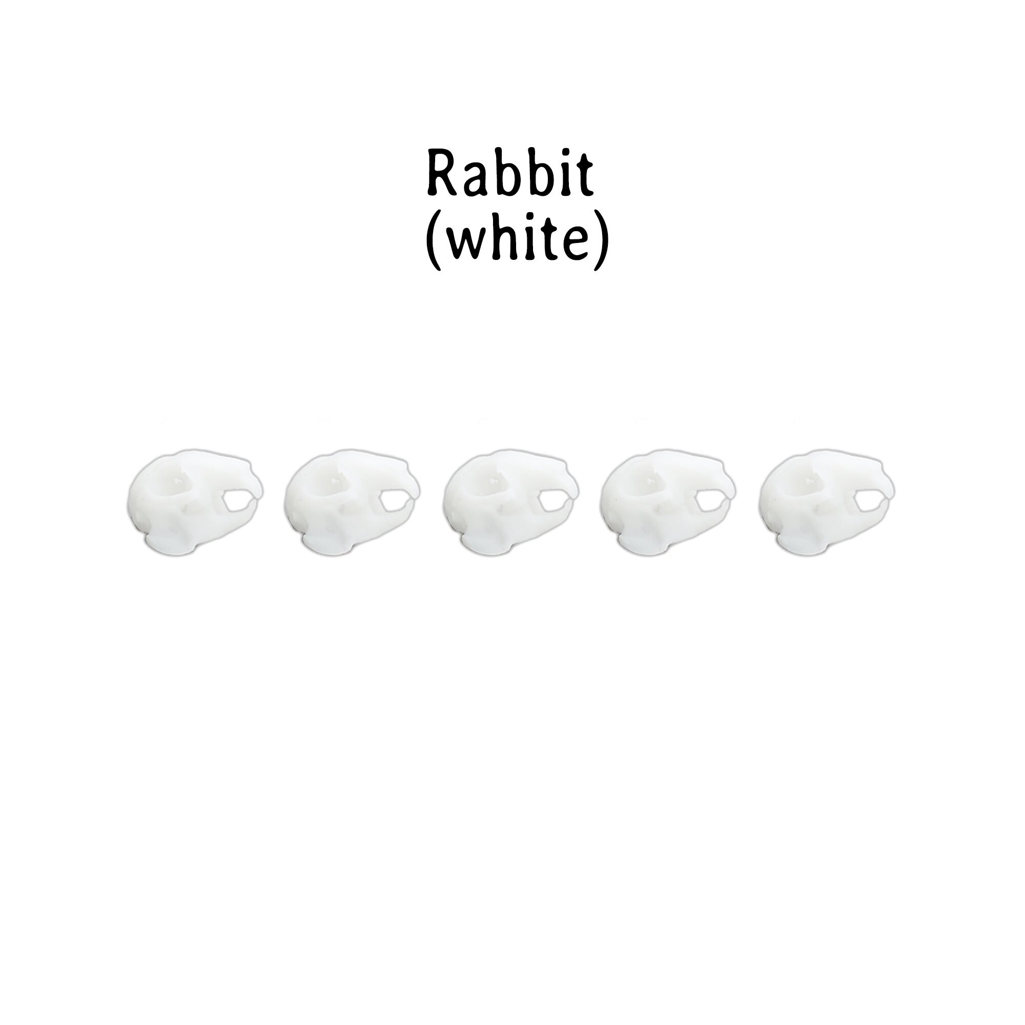 Rabbit Skull Replica 1:12 Scale Miniature Bunny Cranium 3d | Etsy