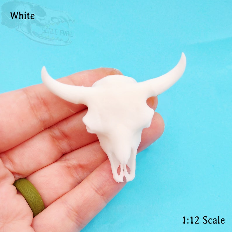 May include: A small white bull skull figurine in 1:12 scale. The skull features two curved horns extending from the sides and a detailed nasal cavity. The text "White" and "1:12 Scale" are visible in the corners of the image, along with a faint logo.
