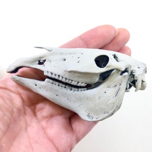 Horse Skull Miniature - 1:6 Scale replica for diorama, horror scenes, Mari Lwyd decorations, Christmas DIY art craft supplies (1 skull)