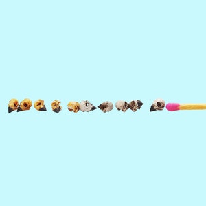 May include: A row of small, white and brown bird skulls arranged in a line on a light blue background. A single matchstick with a pink head is placed to the right of the skulls.
