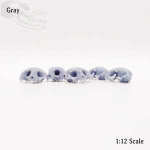 May include: Five gray plastic miniature animal skulls, likely cat skulls, arranged in a row on a white surface. The skulls are detailed and realistic, with visible teeth and eye sockets. The text "1:12 Scale" is visible at the bottom of the image.