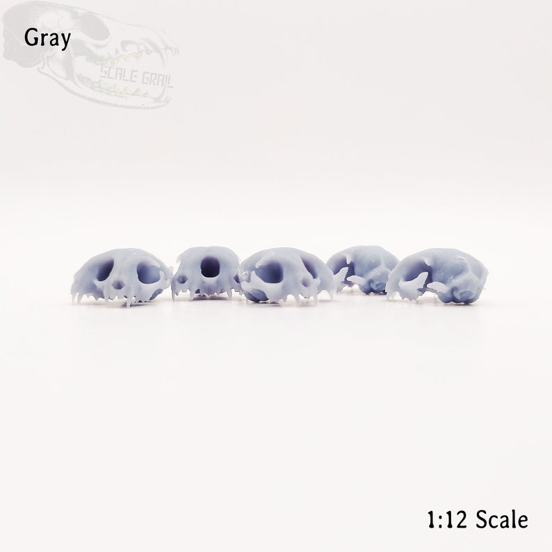 May include: Five gray plastic miniature animal skulls, likely cat skulls, arranged in a row on a white surface. The skulls are detailed and realistic, with visible teeth and eye sockets. The text "1:12 Scale" is visible at the bottom of the image.