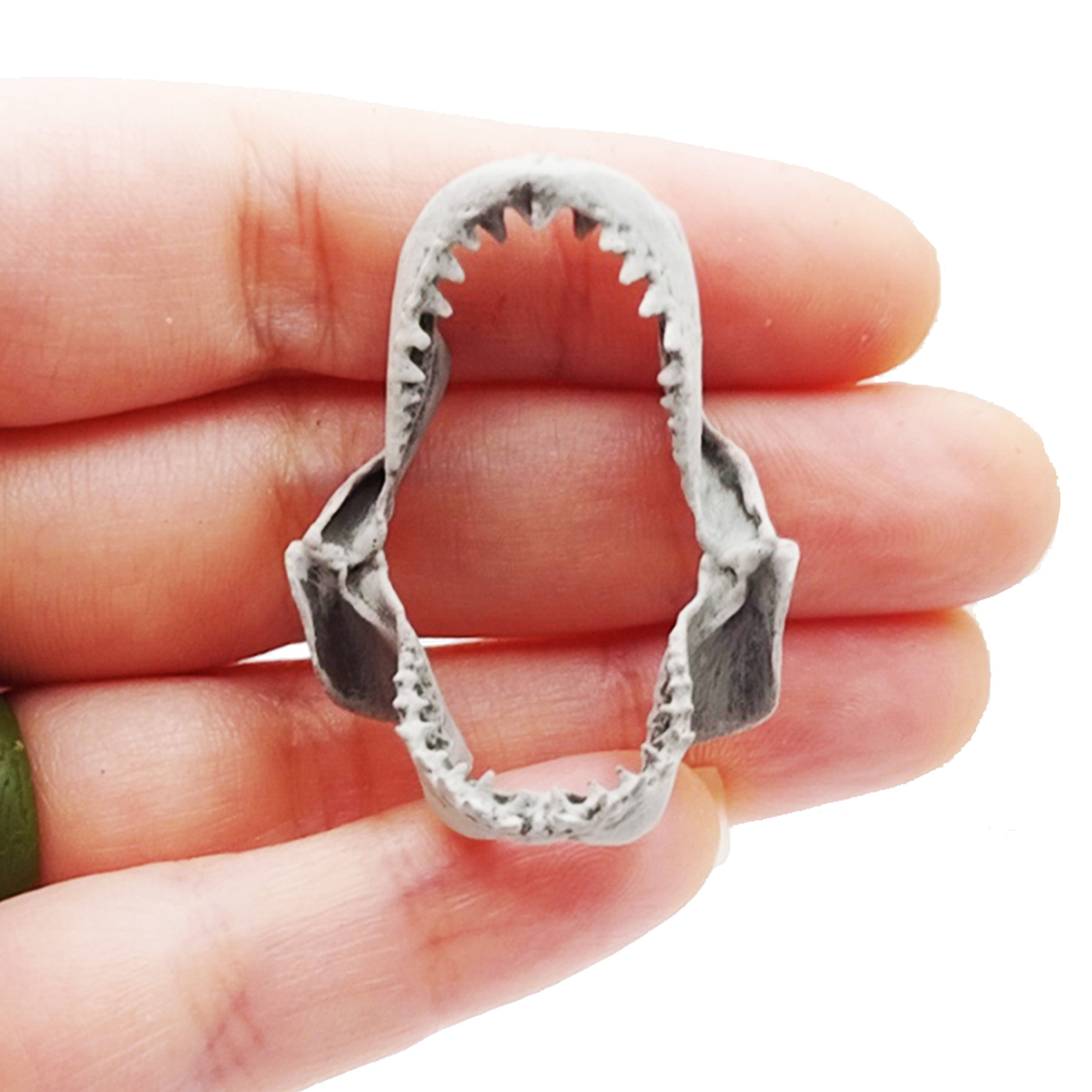 Great White Shark Jaw - 1:12 Scale Miniature Replica 2 Inch Size