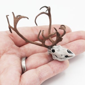 Reindeer / Caribou Miniature Skull - 1:12 Scale for Christmas Dollhouse Diorama Art Craft Supplies Oddities Curiosities (1 Skull) Bone (hand painted)