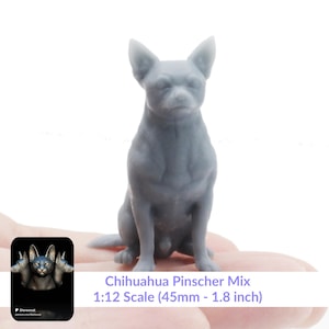チワワ ピンシャー（チピン） - 1:12 スケール ドールハウス、ジオラマ用 ミニチュア犬（Stereocat 製、1 匹）