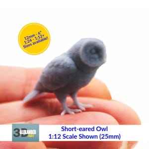 May include: A small, grey Short-eared Owl model, approximately 2.5 cm tall, is held in a hand. The figurine is a detailed model, with text indicating a 1:12 scale. A yellow circle in the background has text indicating sizes available.