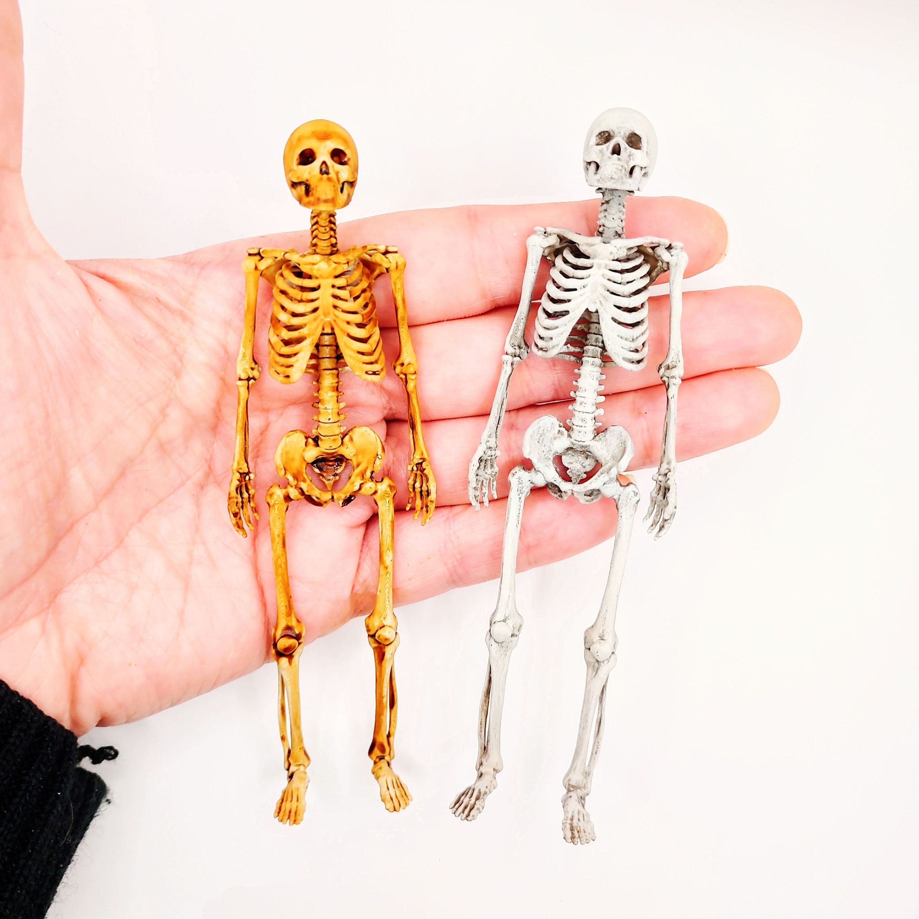 Halloween Movable Skeleton Human Model Skull Full Body Mini Figure Toy