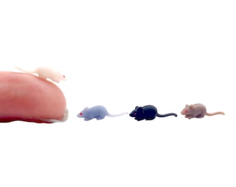 Miniature Rats - 1:24 scale miniature size for horror diorama, dollhouse, arts and crafts replica animal mouse black, gray, white (Set of 5)