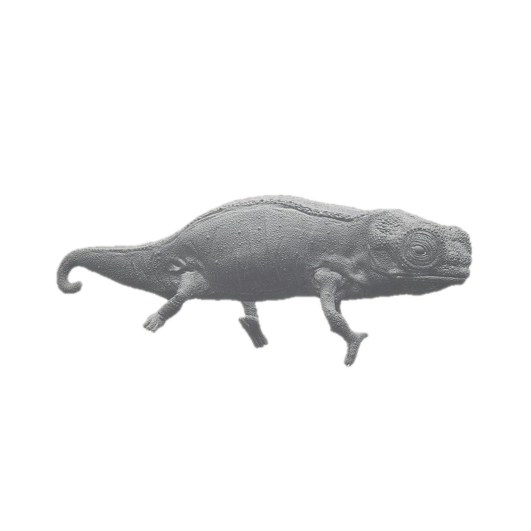 Nosy Hara Leaf Chameleon (brookesia Micra) | Animal Den Miniatures