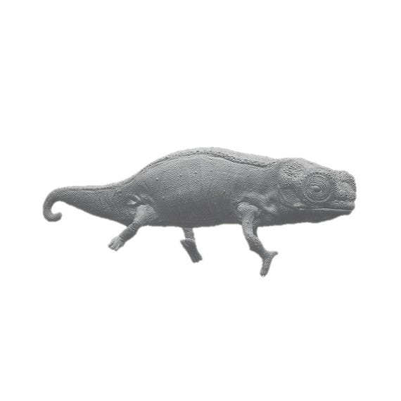 Nosy Hara Leaf Chameleon (brookesia Micra) | Animal Den Miniatures