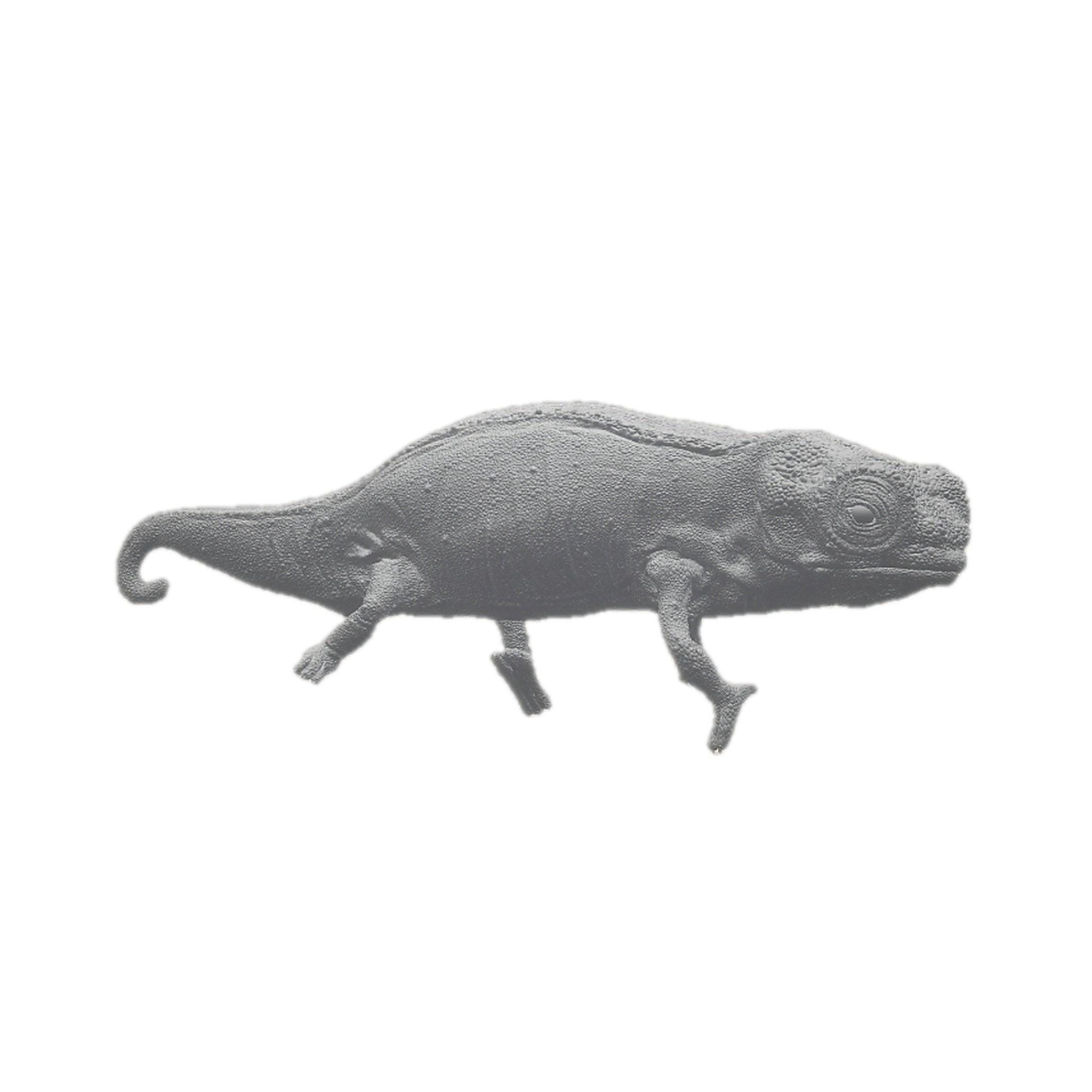 Nosy Hara Leaf Chameleon (brookesia Micra) | Animal Den Miniatures