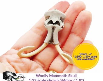 Woolly Mammoth Skull (Field Bones Core Series: Extinct) miniature dollhouse diorama resin inserts replica by The Scale Grail