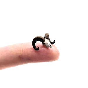 Big Horn Schafe Schädel Replik, 1:48 Miniatur Schädel für Feengarten, Dioramen, Puppenhäuser, Bastelbedarf, realistischer Kunstharzeinsatz