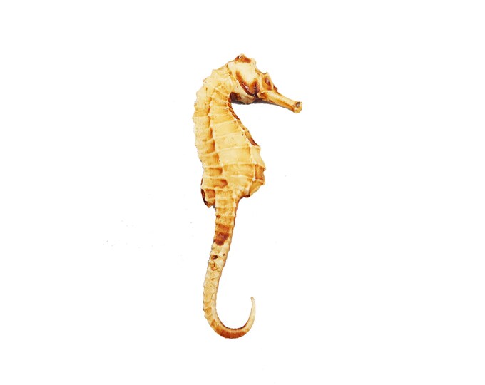Mini ascia bipenne di odino - replica in miniatura di ascia vichinga a