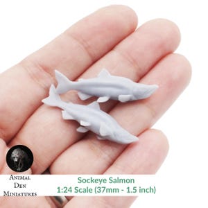 May include: Two small, gray sockeye salmon miniatures, each approximately 1.5 inches long, are displayed. The fish are detailed with fins and a streamlined shape. The image includes text that reads "Sockeye Salmon 1:24 Scale (37mm - 1.5 inch)" and the logo "Animal Den Miniatures."