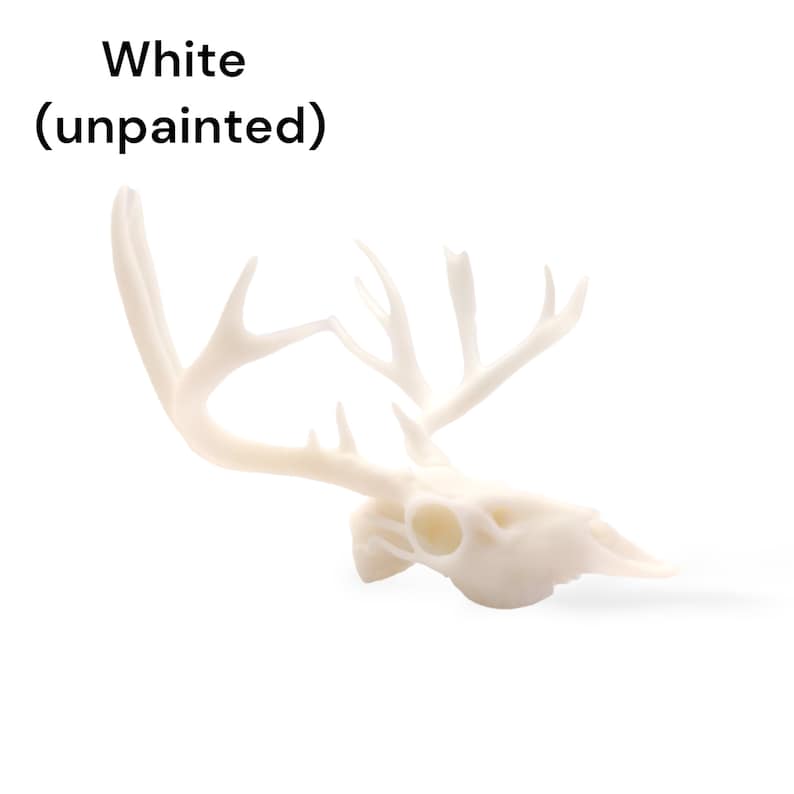 May include: White, unpainted deer skull with antlers. The skull is made of a smooth, white material and has a realistic appearance.