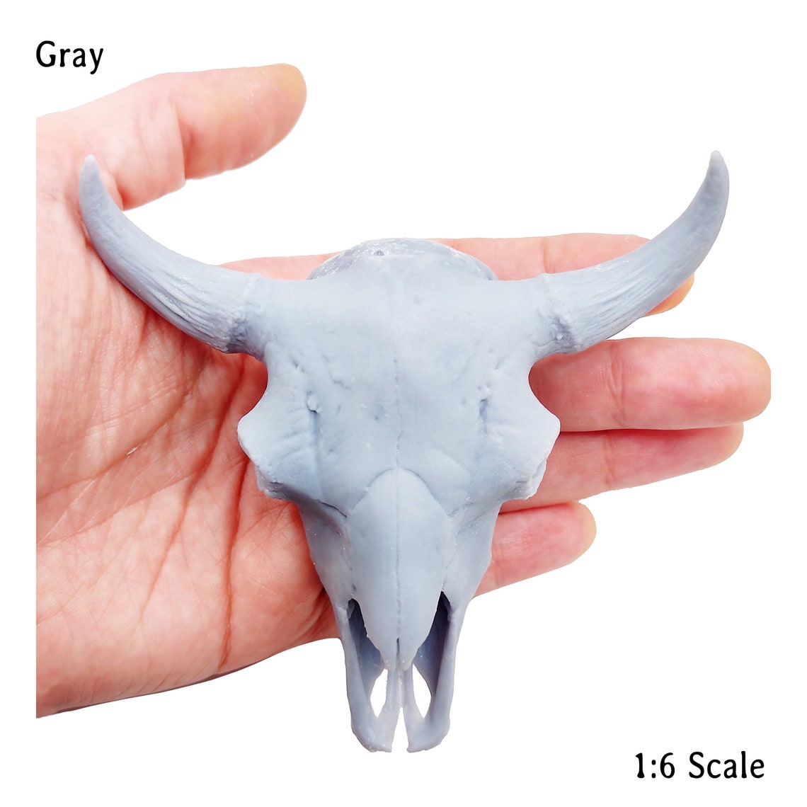 American Bison Skull Replica 16 Scale Size for Home Desert Etsy