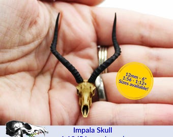 Impala Skull (Field Bones Core Series: Afrika) miniatyrreplika av djur, udda dockhus och diorama, samlarobjekt från The Scale Grail