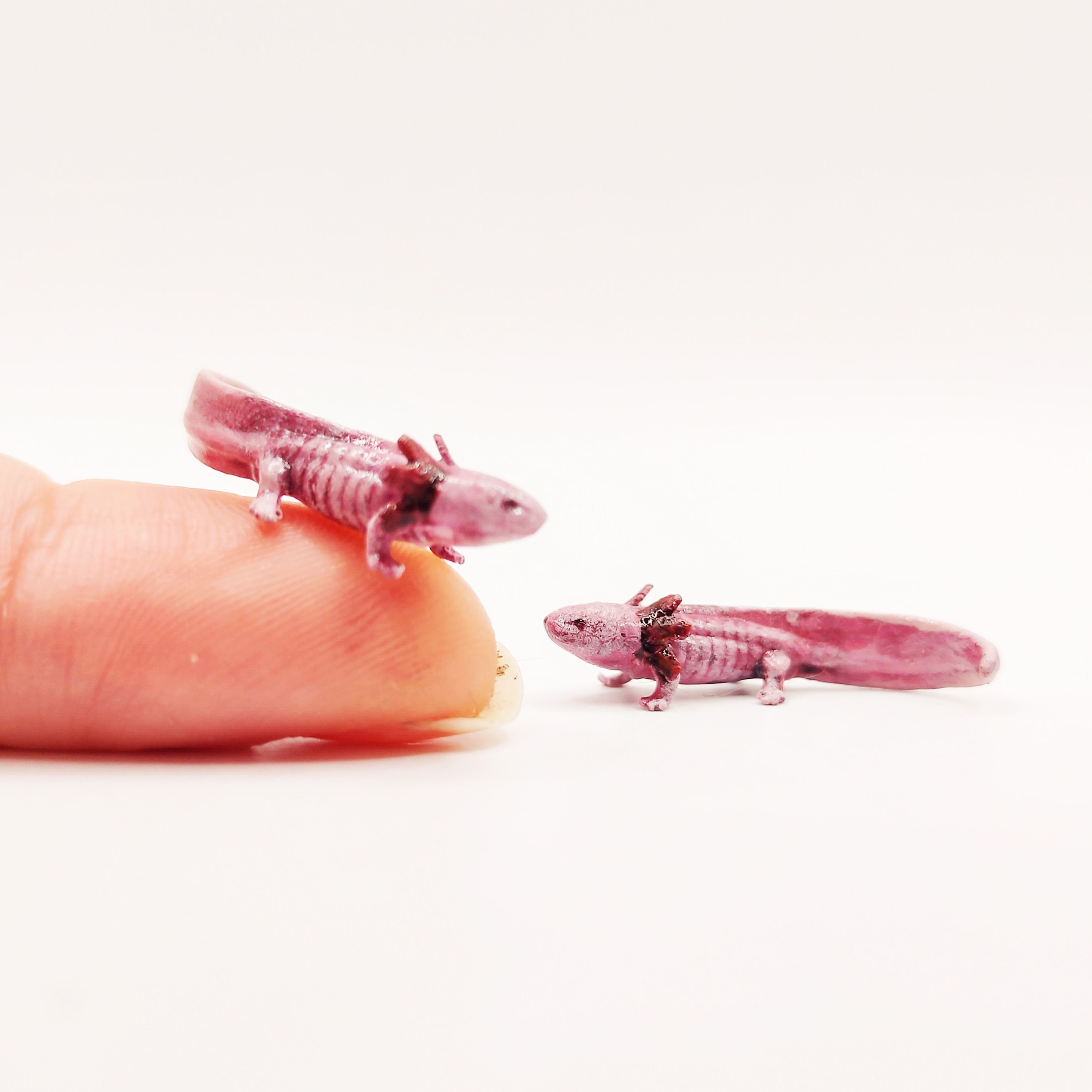 Axolotl Resin Cabochon/ Miniature Axolotl Charm/ Sea Animal Cabochon/ Slime  Charm -  Finland