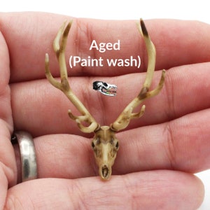 Red Deer Skull - 1:24 Scale Replica Miniature for Dollhouse, Diorama, Animal Curiosities and Oddities Art and Craft Supplies (1 skull) image 4