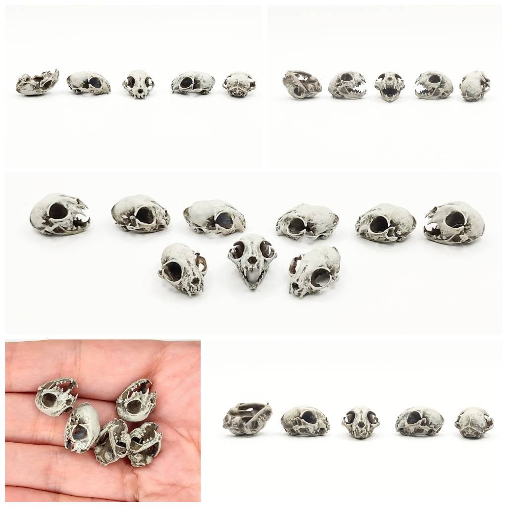 Mini Cat Skull Replica - 1:12 scale feline skull for diorama, miniature horror scenes, dollhouse and action figure photography (set of 5)