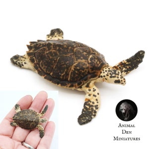 Könnte beinhalten: Eine handbemalte Miniatur-Hawksbill-Meeresschildkröten-Figur mit einer braunen und schwarzen Schale und weißen Flecken. Die Schildkröte liegt auf dem Bauch mit ausgestreckten Beinen. Die Figur wurde von Animal Den Miniatures hergestellt.