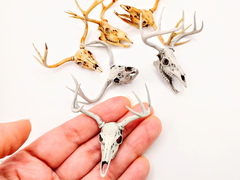 White Tail Deer skull with Antlers 1:12 scale miniature realistic animal cranium for diorama, dollhouse, art and craft supplies 1 skull image 1