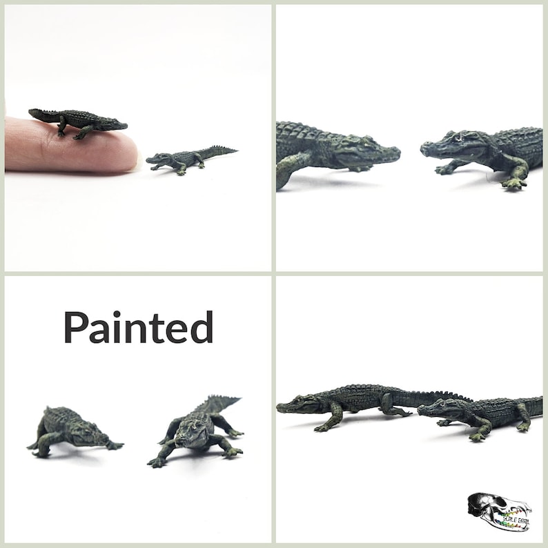 May include: Four miniature painted alligator figurines. The alligators are green and brown with textured details. The word "Painted" is written in black text on a white background.