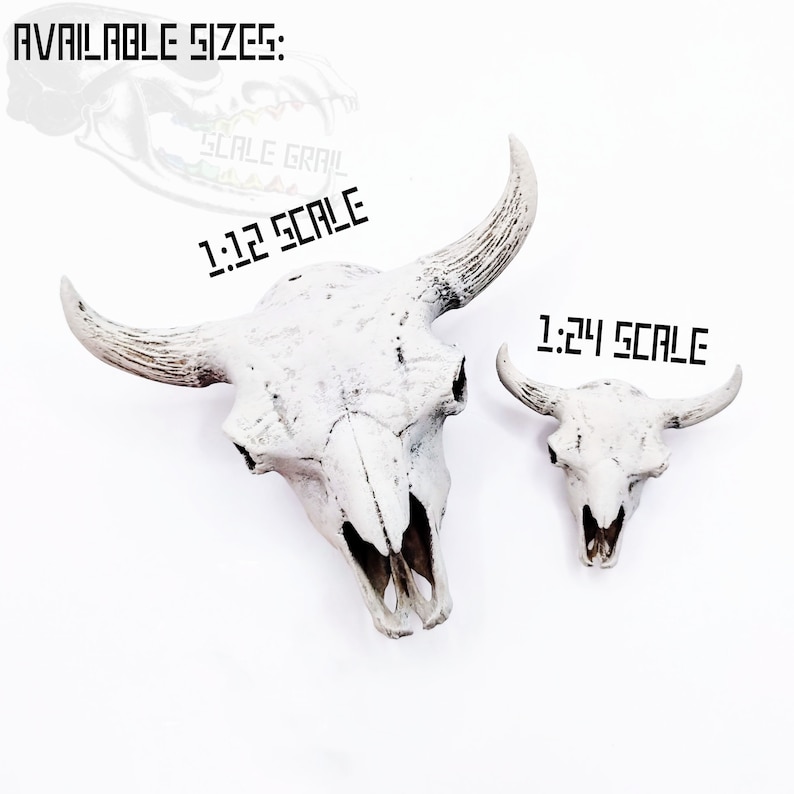 American Bison Skull Replica- 1:12 scale size for desert diorama, western dollhouse, arts and crafts, miniature Steer Cow Skull (1 skull) image 7