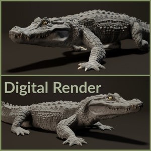 May include: A digital render of a gray crocodile with a textured skin. The crocodile is lying on its belly with its head turned to the right. The crocodile's eyes are open and its mouth is closed.