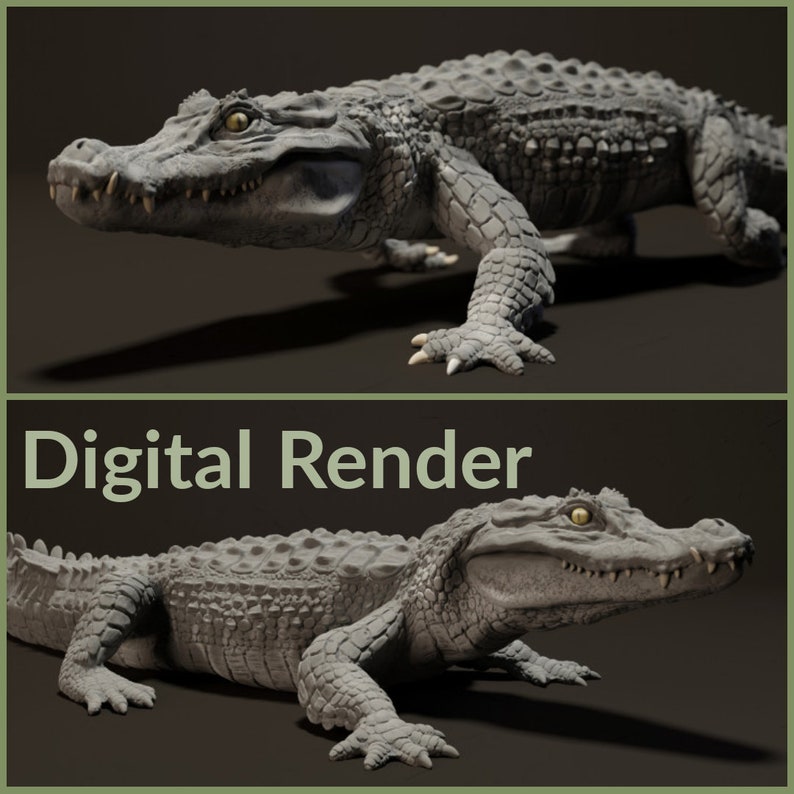 May include: A digital render of a gray crocodile with a textured skin. The crocodile is lying on its belly with its head turned to the right. The crocodile's eyes are open and its mouth is closed.