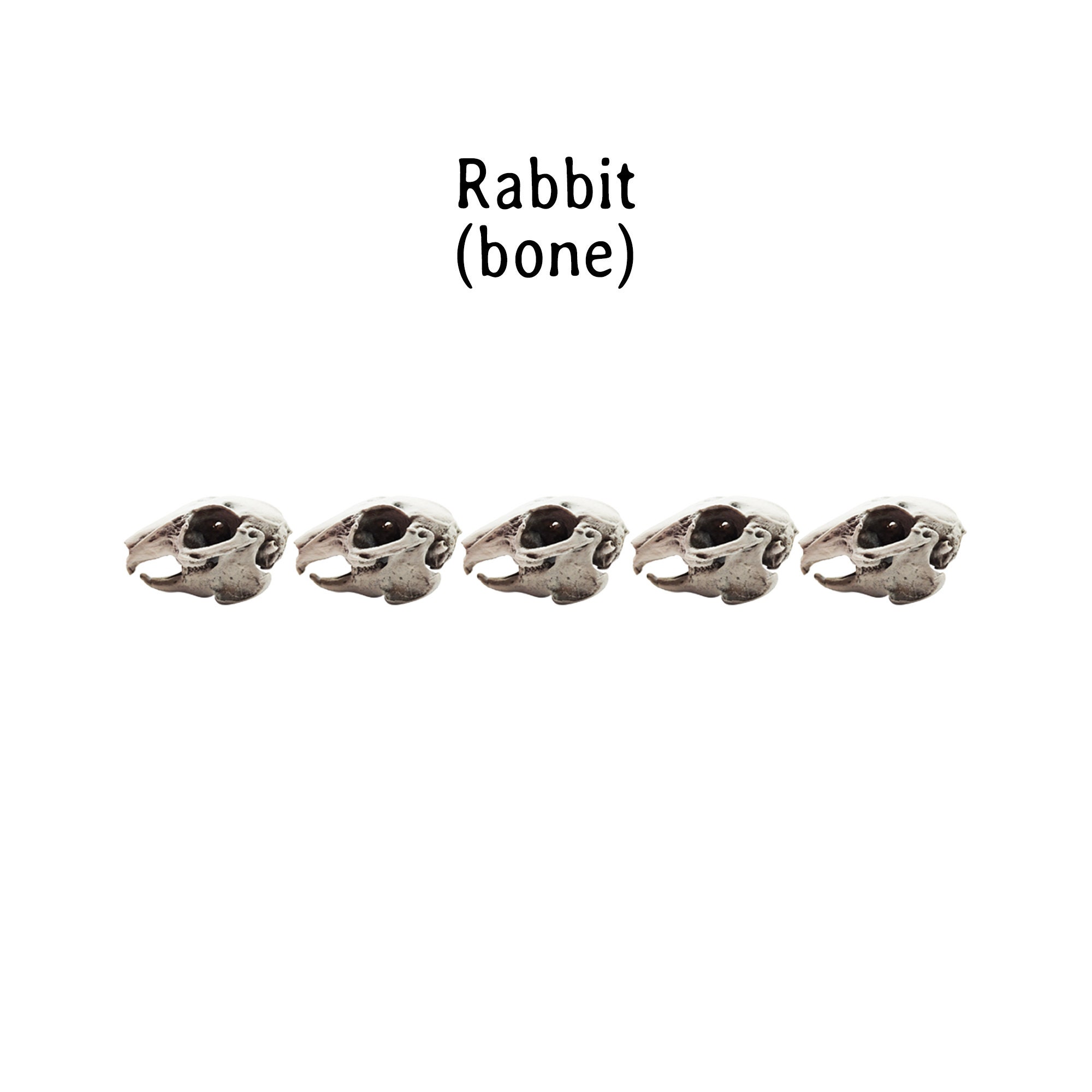 Stuffed Rabbit Skull Rabbit Skull Replica - 1:6 Scale Bunny Skull 3d Printed Hand Painted ...