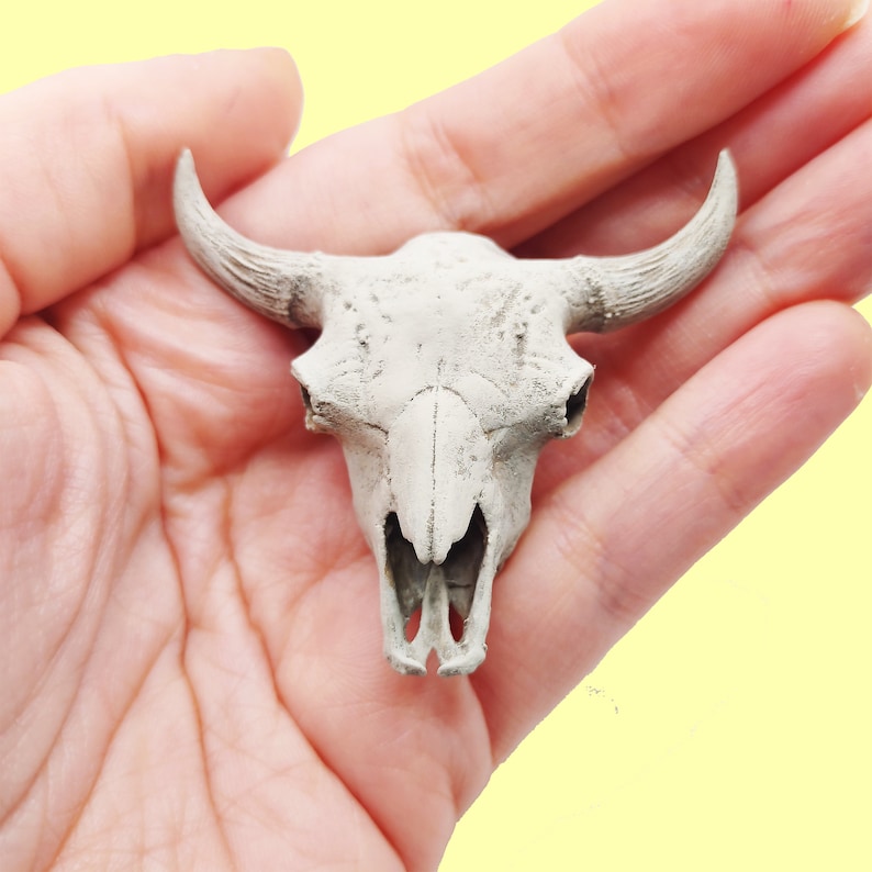 May include: A small, off-white, textured bull skull figurine featuring prominent curved horns, a detailed nasal cavity, and hollow eye sockets. The surface of the skull displays a weathered, matte finish with subtle gray shading throughout the bone structure.
