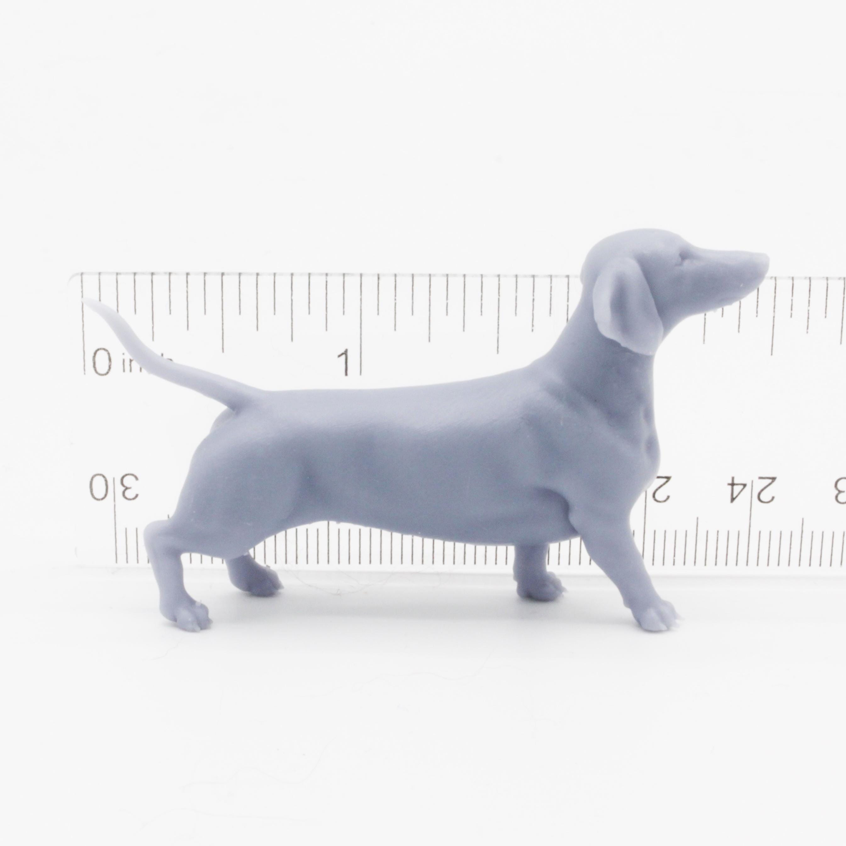 ダックスフント - ドールハウス、ジオラマ DIY フィギュア用の 1:12