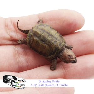 May include: A small, brown snapping turtle figurine, 1.7 inches long, in a hand. The figurine is a 1:12 scale model.