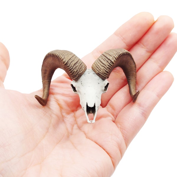 Big horn sheep skull replica, 1:12 scale miniature cranium with horns for use with dioramas, action figures, dollhouses, horror. (1 skull)