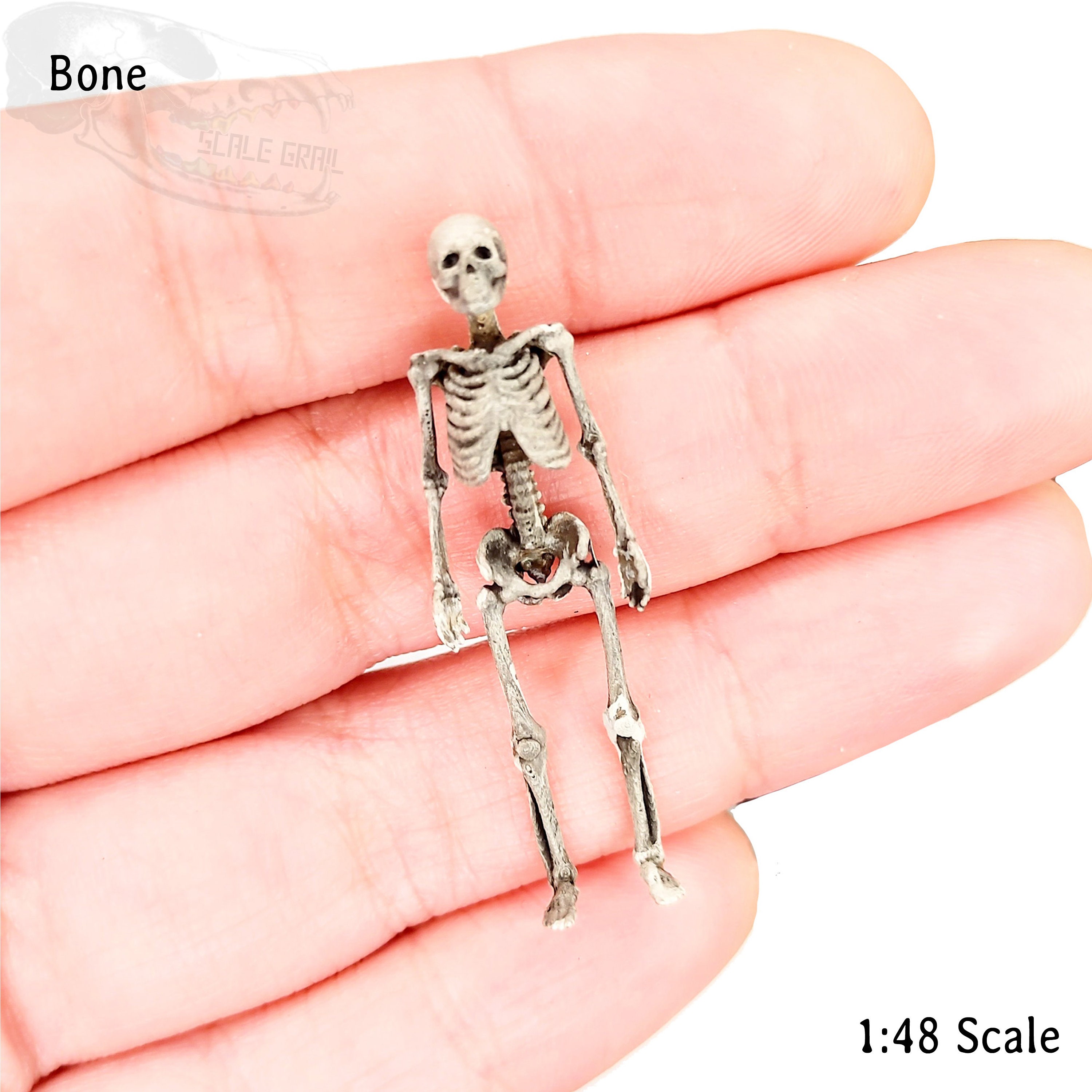Menschliches Skelett 1:48 Miniatur für Horror-Diorama, Puppenhaus