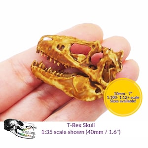 T-Rex Skull Replica - (Field Bones Core Series - diorama, miniature horror scenes,  dollhouse, curio cabinet