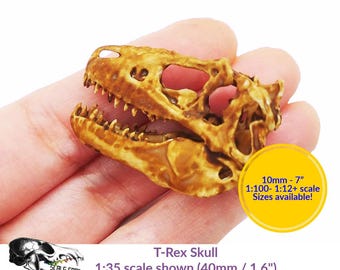 T-Rex Skull Replica - (Field Bones Core Series - diorama, miniature horror scenes,  dollhouse, curio cabinet