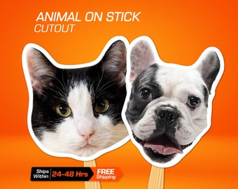 Pet Face Fans, Personalized Face on a Stick for Customized Pet Memorabilia