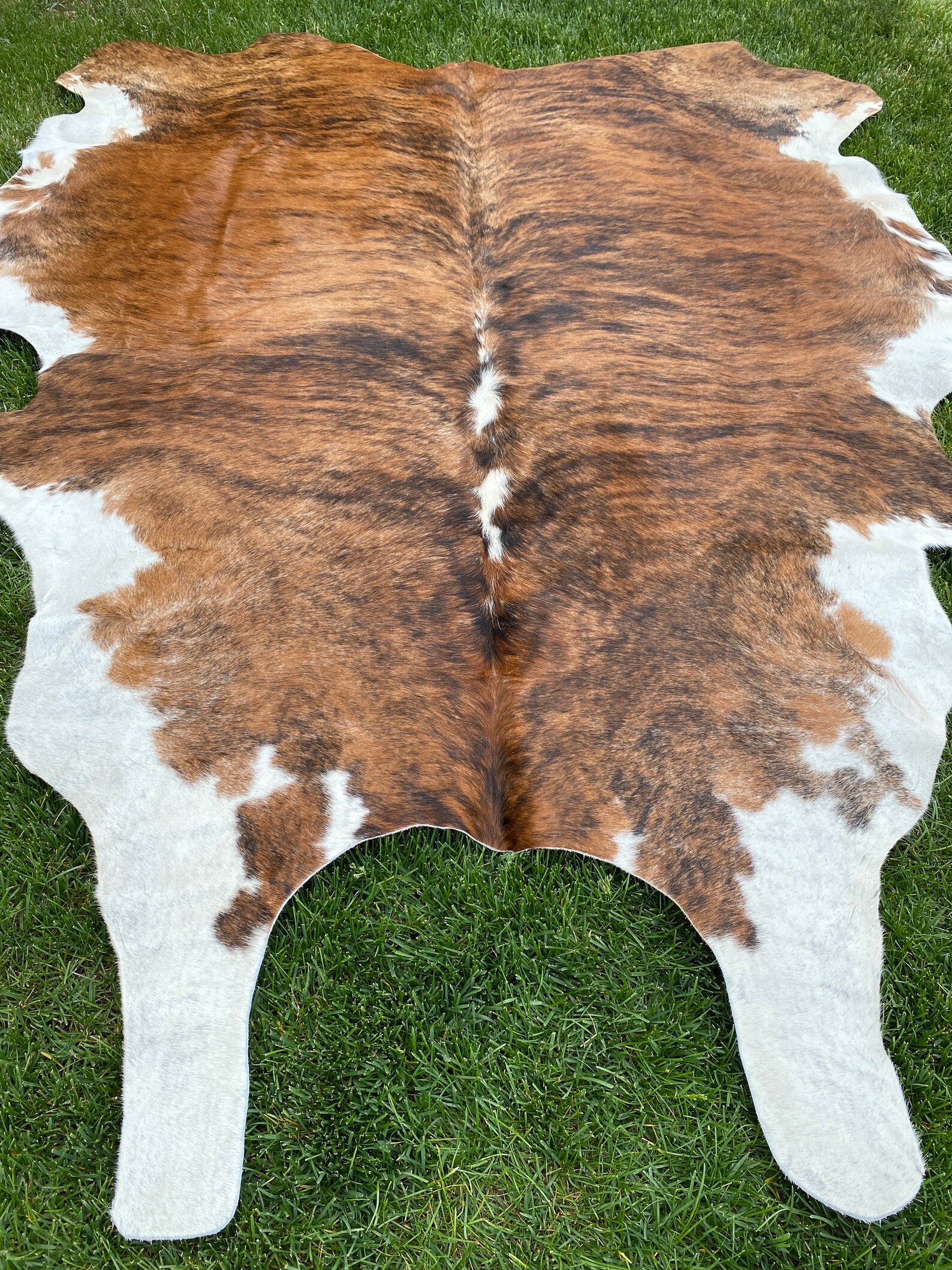 Exotic Brindle Cowhide Rug Etsy