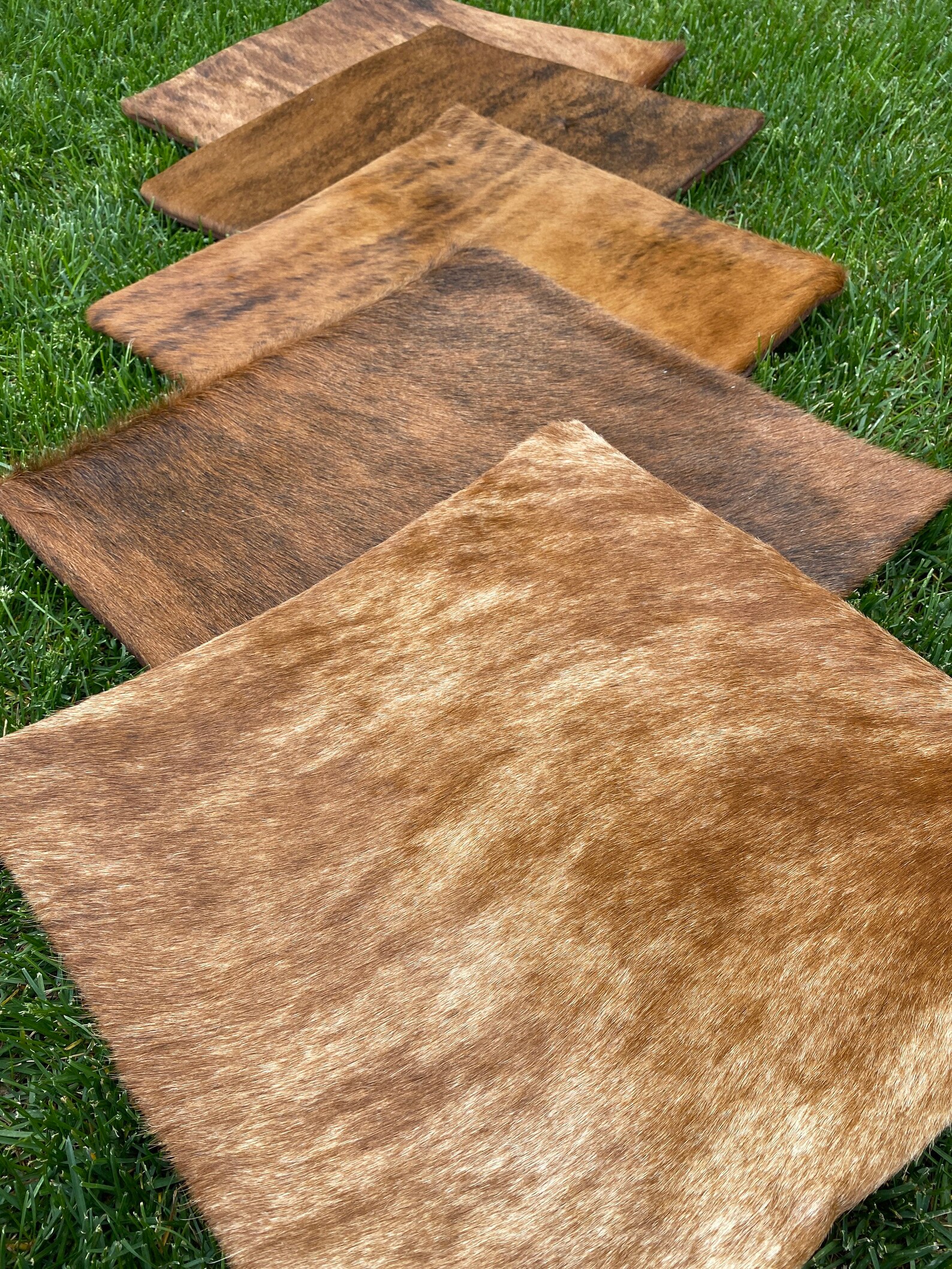 Exotic Cowhide Pillow Covers Etsy