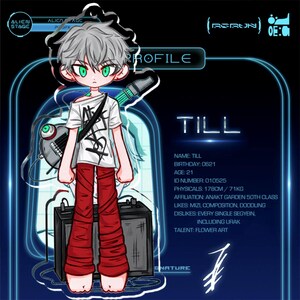 May include: A digital character profile card for Till, featuring a silver-haired figure with green eyes in a white graphic t-shirt and red pants. The text includes name, birthday 0621, age 21, ID 010525, physicals 178cm/71kg, affiliation, likes, dislikes, and talent.