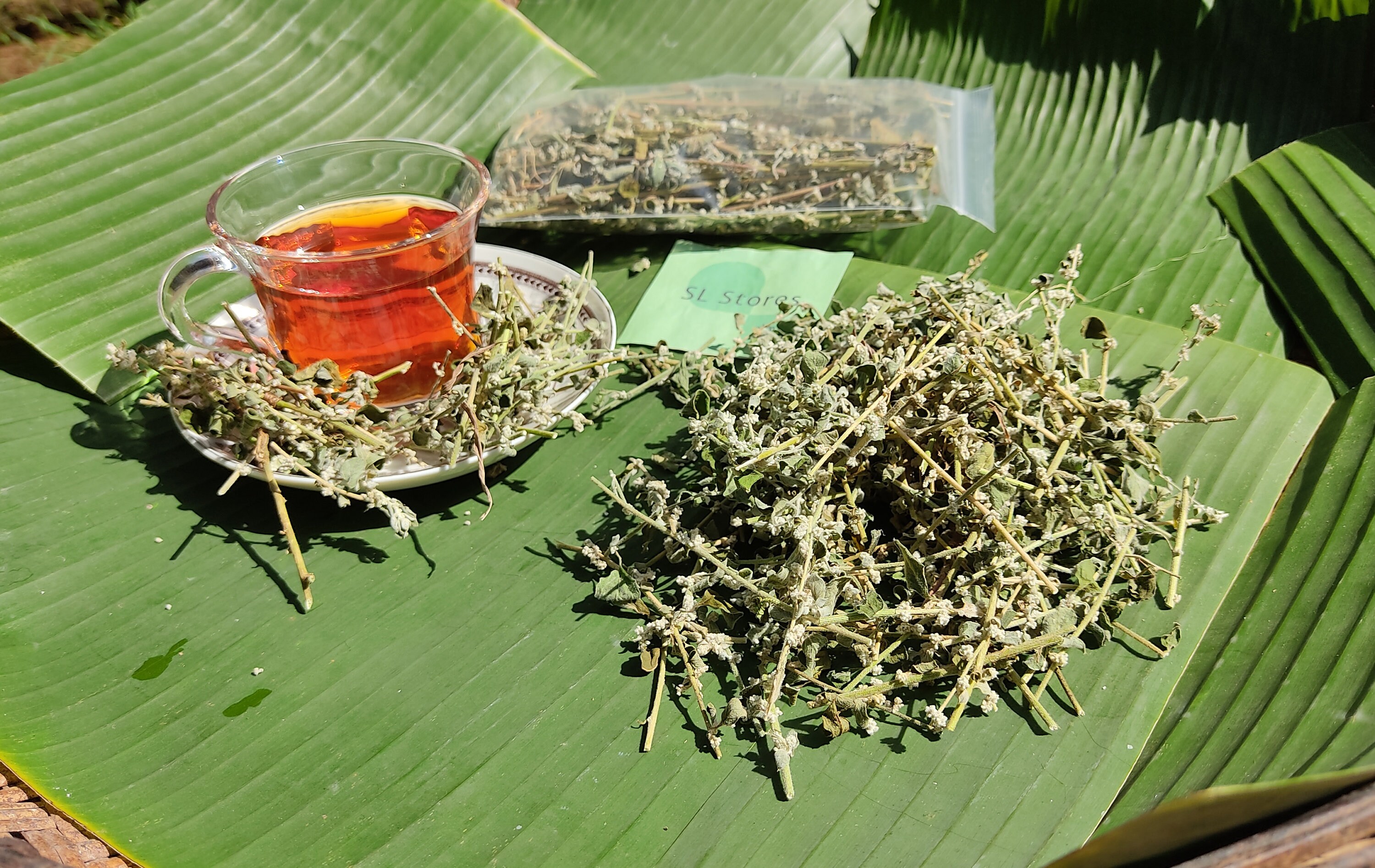 Natural Organic Polpala Herbal Tea Aerva lanata 100 Etsy