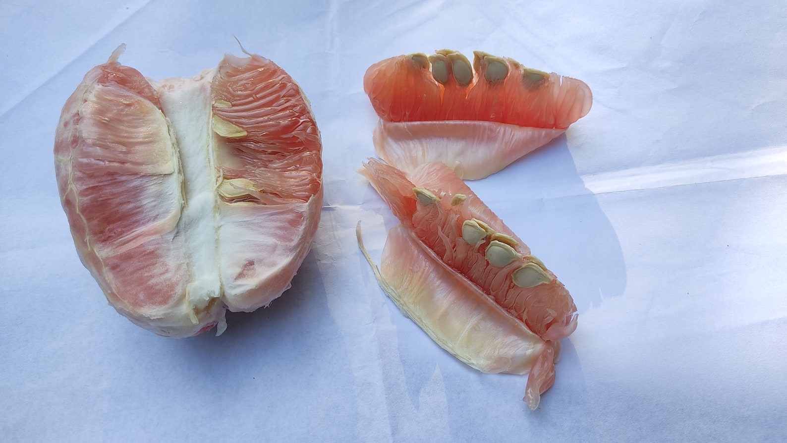 Pomelo Seeds Citrus Maxima Pummelo Pomello Fruit Seeds Etsy