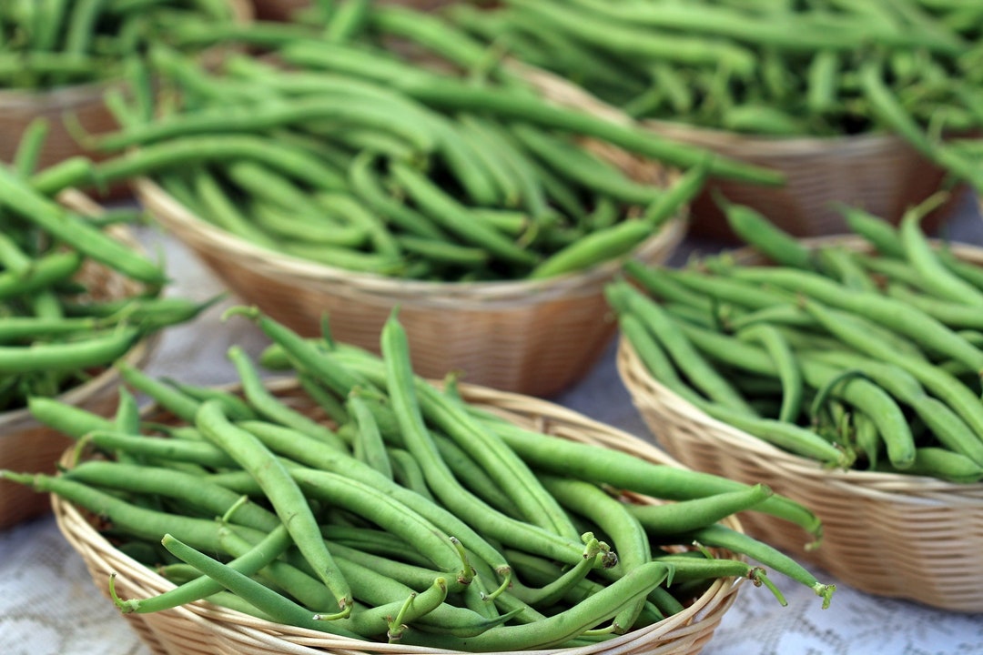 100 Jade Bush Bean Seeds, Green Beans Seeds for Planting, USA Seller Etsy