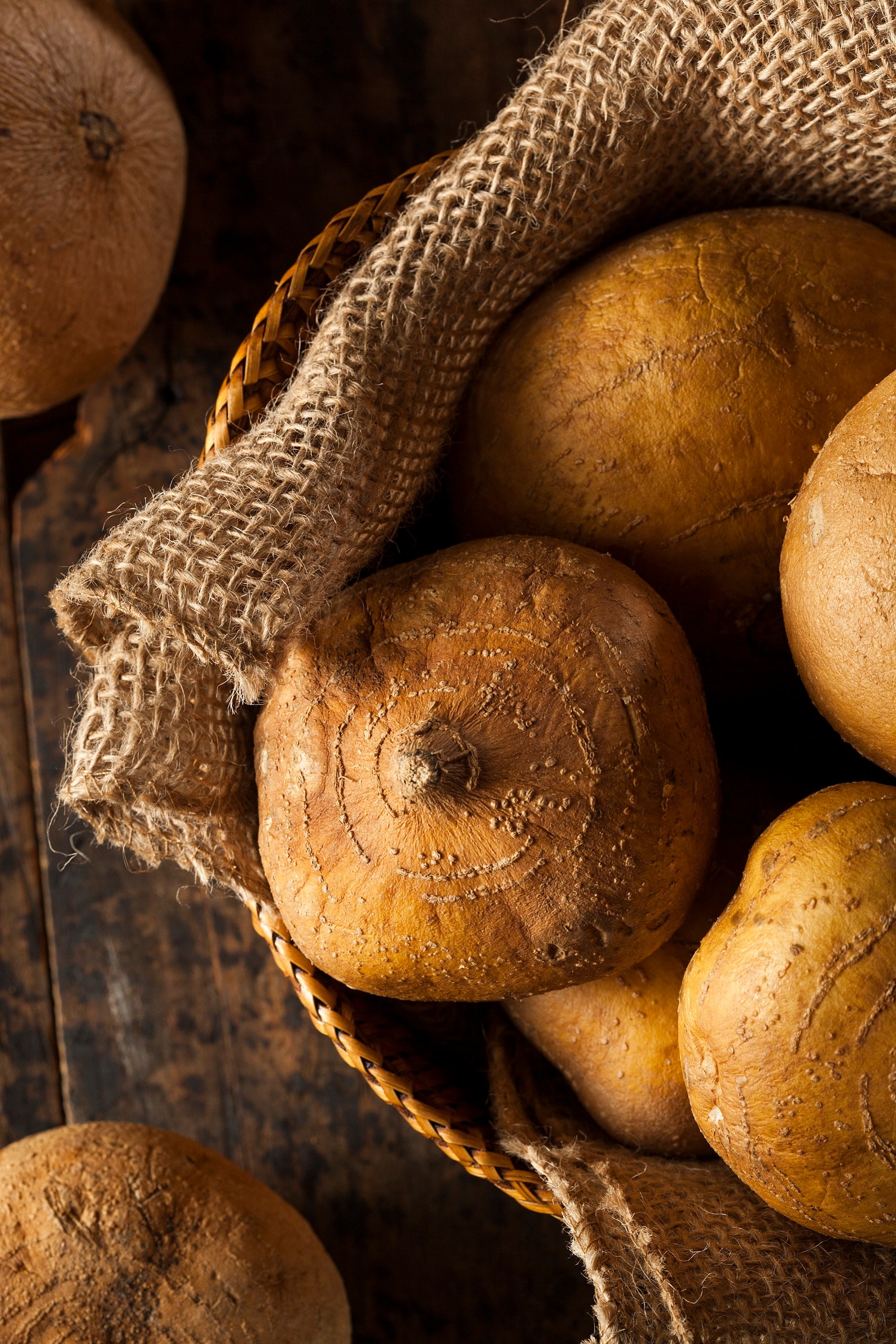 40 Jicama Seeds Mexican Yam Bean Nongmo Root Potato Etsy