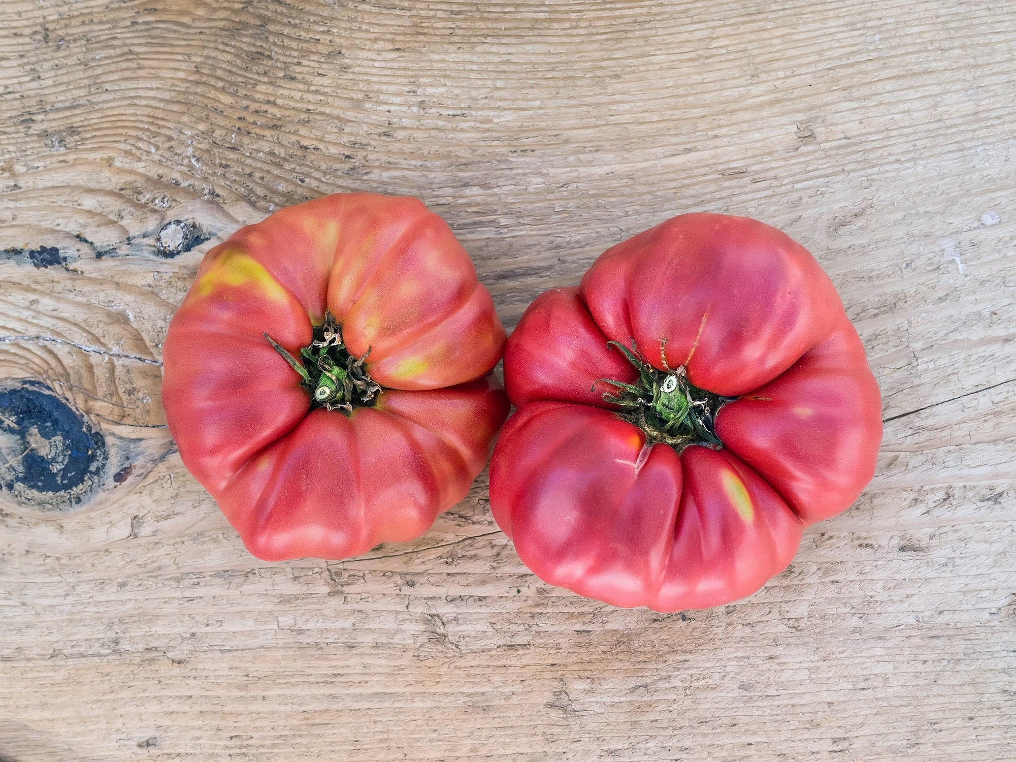 40 Brandywine Pink Heirloom Tomato Seeds NonGMO Vegetable Etsy