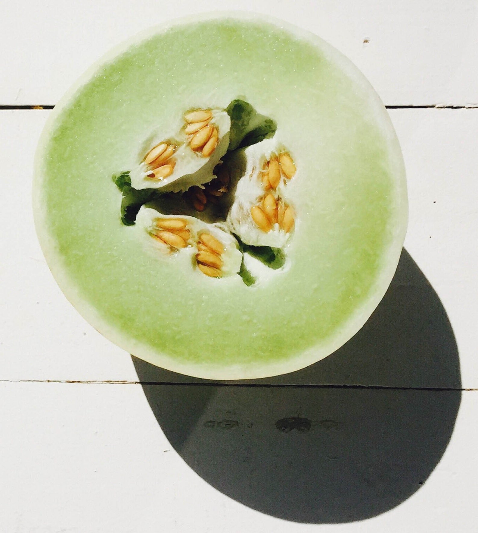 50 Honeydew Melon Seeds Green Honey Dew Fruit Nongmo Etsy