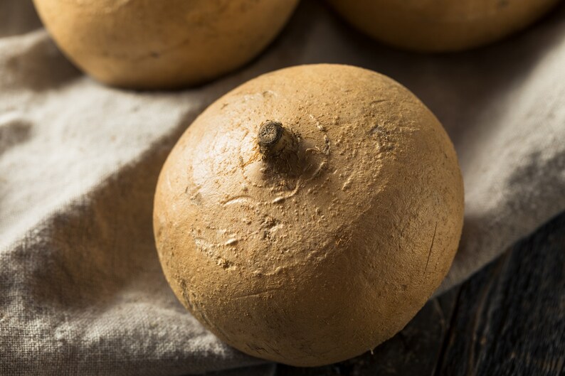 40 Jicama Seeds Mexican Yam Bean Nongmo Root Potato Etsy